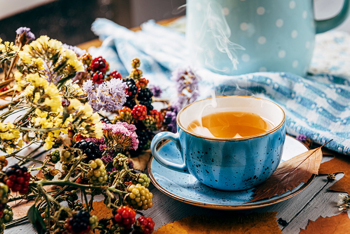 © Mikhaylovskiy - AdobeStock